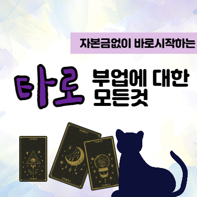지식 콘텐츠 이미지