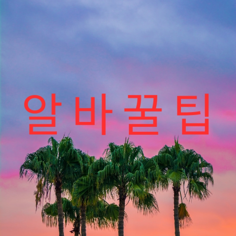 지식 콘텐츠 이미지