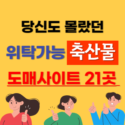 지식 콘텐츠 이미지