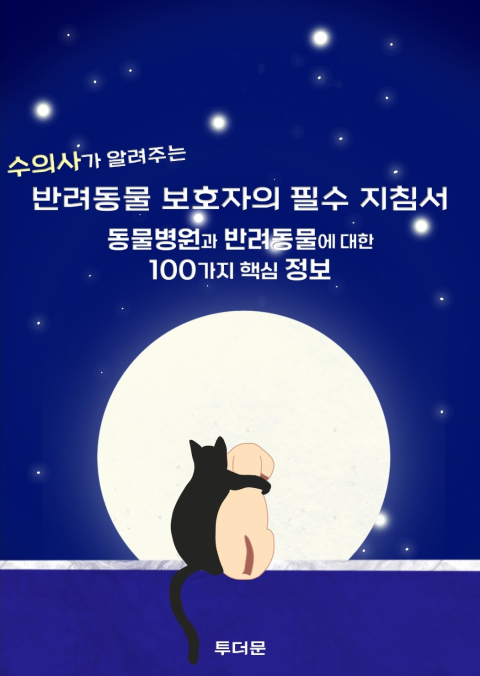 지식 콘텐츠 이미지