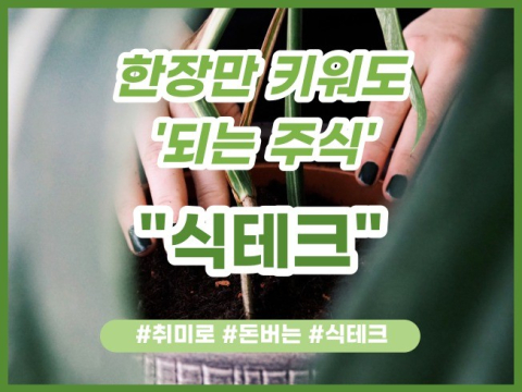 지식 콘텐츠 이미지