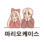 마리오케이스