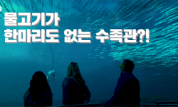 동물 없는 수족관