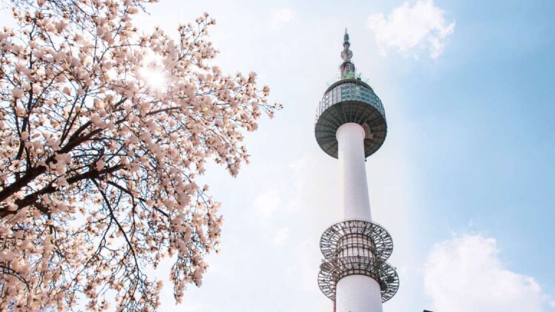 서울 N서울타워 전망대 입장권